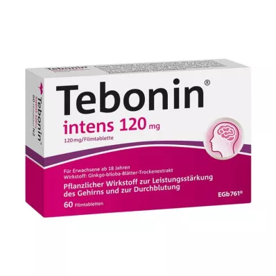 TEBONIN intenzívne 120 mg filmom obalené tablety, 60 ks