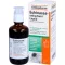 ECHINACEA-RATIOPHARM Tekutý, 100 ml