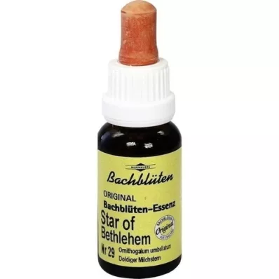 BACHBLÜTEN Murnauer Hviezda betlehemská, 20 ml