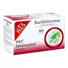 H&amp;Čajové filtračné vrecúško Bachovho kvetu Šťastie žiakov, 20X3,0 g