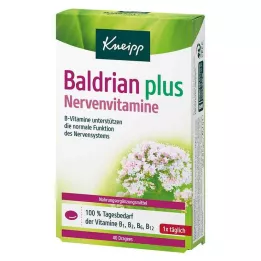 KNEIPP Valeriána plus nervové vitamíny poťahované tablety, 40 ks