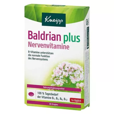 Kneipp Valeriána plus nervové vitamíny dražé, 40 kusov Kneipp Valeriána plus nervové vitamíny dražé, 40 kusov