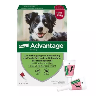 Advantage 250 pre psov od 10-25 kg, 4 ks Advantage 250 pre psov od 10-25 kg, 4 ks
