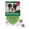 Advantage 250 pre psov od 10-25 kg, 4 ks
