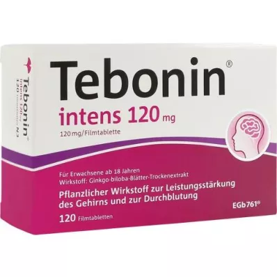 TEBONIN intenzívne 120 mg filmom obalené tablety, 120 ks