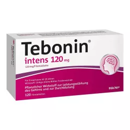 TEBONIN intenzívne 120 mg filmom obalené tablety, 120 ks