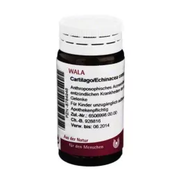 CARTILAGO/Echinacea comp. globule, 20 g