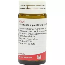 ECHINACEA E planta tota D 6 guľôčok, 20 g