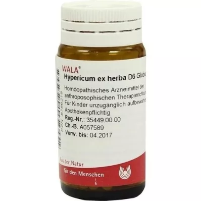 HYPERICUM EX Herba D 6 globúl, 20 g