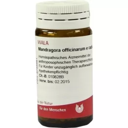 MANDRAGORA OFFICINARIUM e radice D 6 guľôčok, 20 g