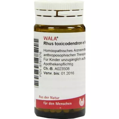 Rhus toxicodendron E foliis D 6 guľôčok, 20 g
