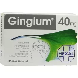 GINGIUM 40 mg filmom obalené tablety, 120 kusov