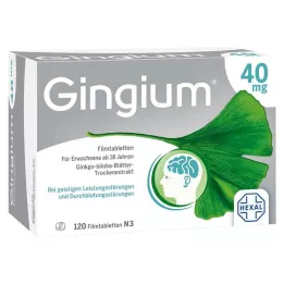 GINGIUM 40 mg filmom obalené tablety, 120 kusov