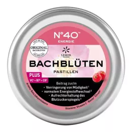 ENERGIE BACHBLÜTENPASTILLEN podľa Dr. Bacha 50 g