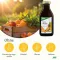Multivitamín energetický Salus, 500 ml