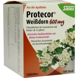 PROTECOR Hloh 600 mg filmom obalené tablety, 100 ks