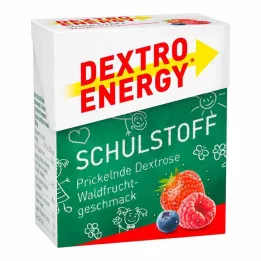 DEXTRO ENERGY Schulstoff tablety na lesné plody, 50 g