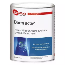 DARM ACTIV Dr.Wolz prášok, 400 g