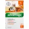 ADVANTAGE 40 mg roztok pre malé mačky/malé okrasné králiky, 4X0,4 ml