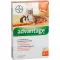 ADVANTAGE 40 mg roztok pre malé mačky/malé okrasné králiky, 4X0,4 ml
