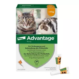 ADVANTAGE 40 mg roztok pre malé mačky/malé okrasné králiky, 4X0,4 ml