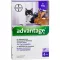 ADVANTAGE 80 mg pre veľké mačky a veľké okrasné králiky, 4X0,8 ml