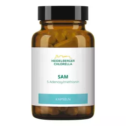 SAM S-ADENOSYLMETHIONIN Kapsule, 60 kapsúl