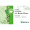 SIDROGA Wellness zelený čaj s mätovým filtrom Nana, 20X1,5 g
