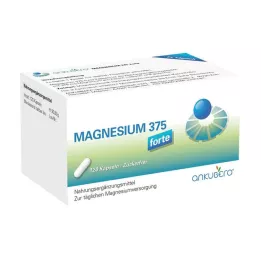MAGNESIUM 375 forte kapsúl, 120 kapsúl