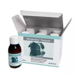Reconvales tonikum pre psov, 6x90 ml
