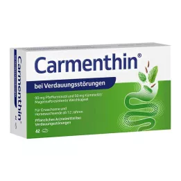 CARMENTHIN na tráviace ťažkosti msr.soft kapsuly, 42 ks