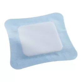 VLIWASORB Pro superabsorb.comp.sterile 22x22 cm, 10 ks