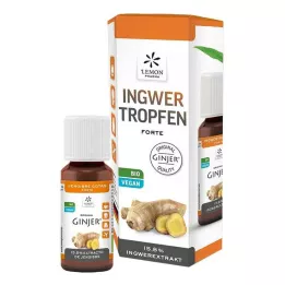 INGWER GINJER forte kvapky, 20 ml
