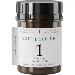 SCHÜSSLER NR.1 Calcium fluoratum D 12 tabliet, 400 ks