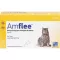 AMFLEE 50 mg spot-on roztok pre mačky, 3 ks