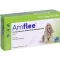 AMFLEE 134 mg spot-on roztok pre stredne veľké psy 10-20 kg, 3 ks