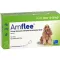AMFLEE 134 mg spot-on roztok pre stredne veľké psy 10-20 kg, 3 ks