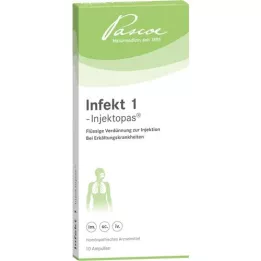 INFEKT ampulky 1-Injektopas, 10X2 ml