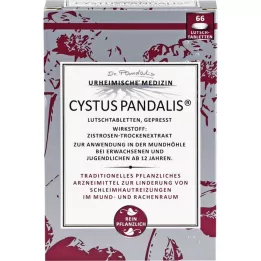 CYSTUS Pandalis pastilky, 66 ks