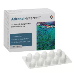 ADRENAL-Intercell Capsules, 120 kapsúl
