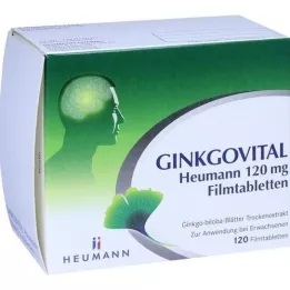 GINKGOVITAL Heumann 120 mg filmom obalené tablety, 120 ks