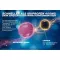Thomapyrin TENSION DUO 400 mg / 100 mg filmom obalené tablety, 12 ks