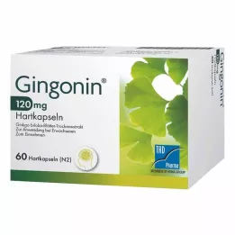 Gingonin® 120 mg tvrdé kapsuly, 60 ks