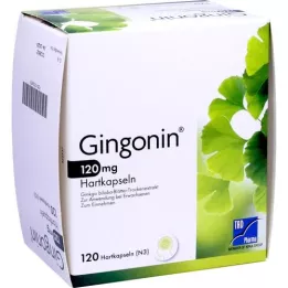 GINGONIN 120 mg tvrdé kapsuly, 120 ks