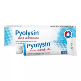 PYOLYSIN Masť na rany a hojenie, 6 g