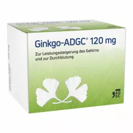 GINKGO ADGC 120 mg filmom obalené tablety, 120 kusov