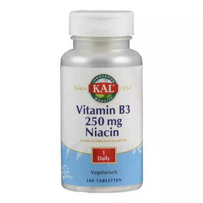 VITAMIN B3 NIACIN 250 mg tablety, 100 ks