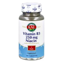 VITAMIN B3 NIACIN 250 mg tablety, 100 ks