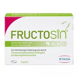 FRUCTOSIN Kapsule, 90 ks