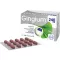 GINGIUM 240 mg filmom obalené tablety, 120 kusov